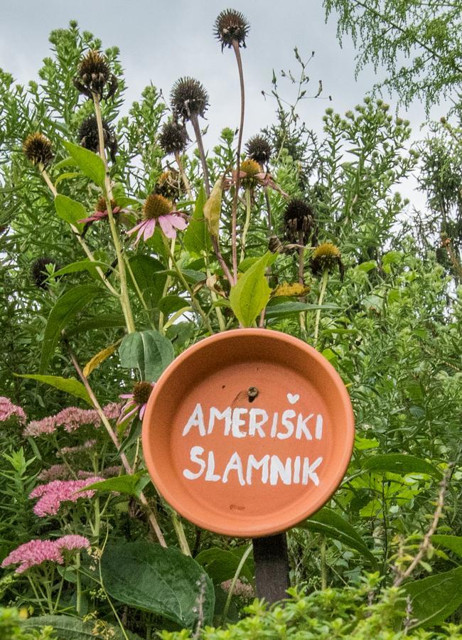Farm Stay Zagar มอเซียร์เย ภายนอก รูปภาพ