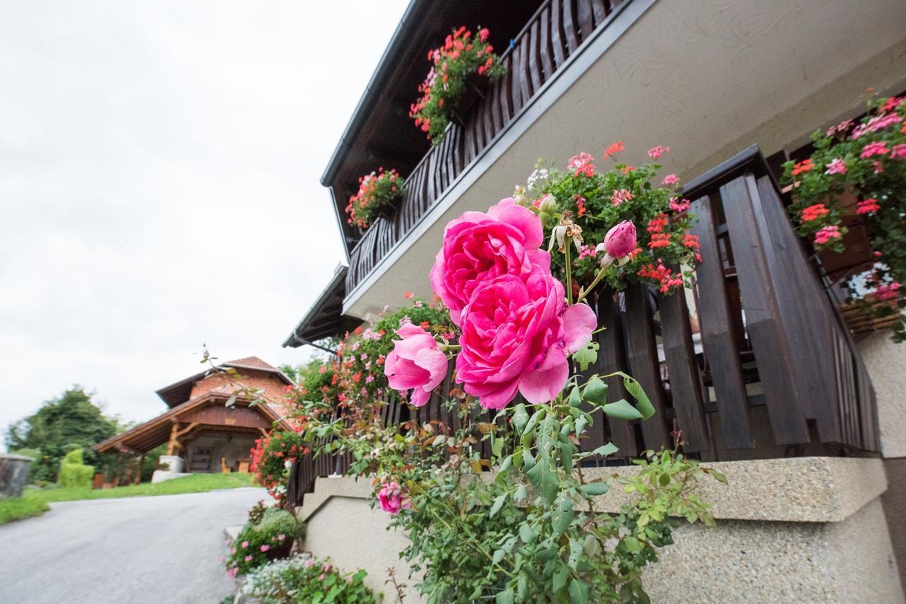 Farm Stay Zagar มอเซียร์เย ภายนอก รูปภาพ